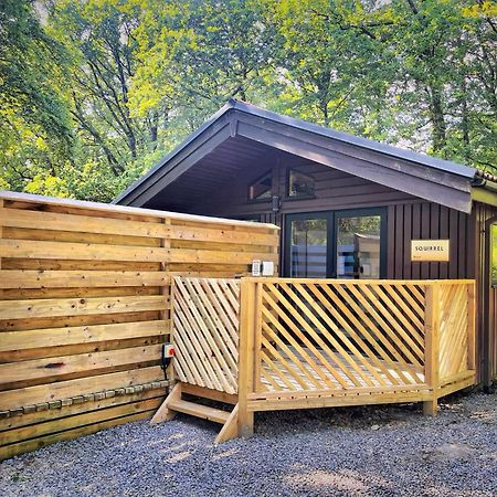 The Squirrel Lodge - Hot Tub - Pet Friendly - Pembrokeshire-Tenby Carmarthen Exteriör bild